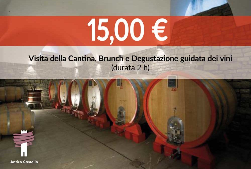 Visita della Cantina, Brunch e Degustazione 15 €