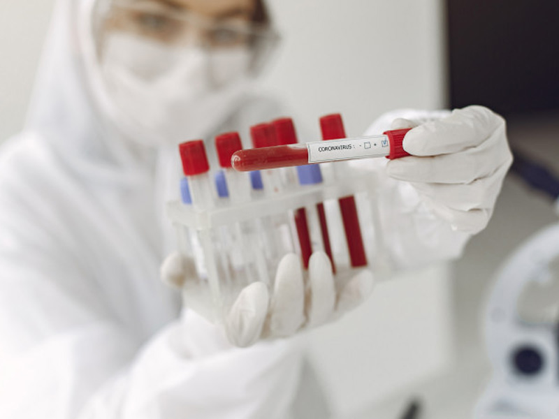corona virus