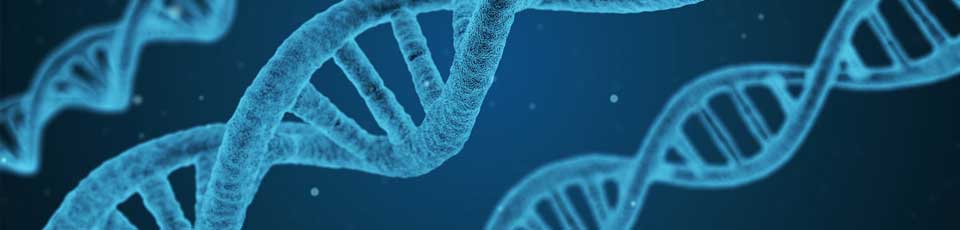 dna