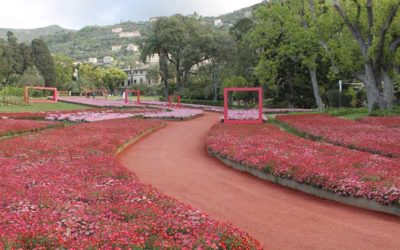 Successo per la floricultura campana ad Euroflora 2018