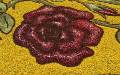 L’Infiorata di Cusano Mutri