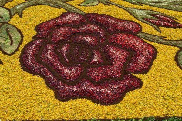 infiorata-eventi