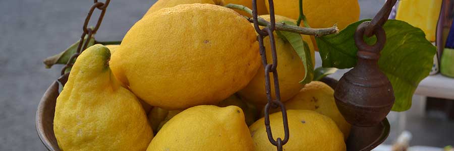 limoni gooty