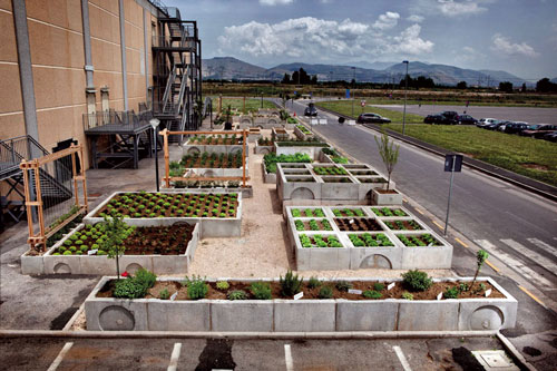 orto in campania