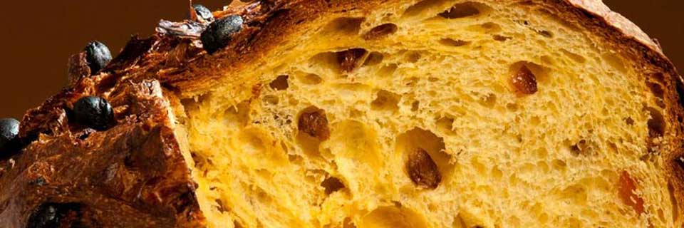 panettone artigianale