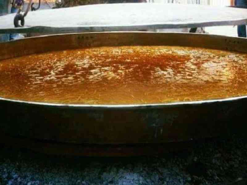 pastiero-evidenza
