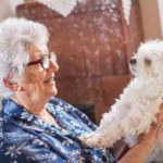 pet-therapy