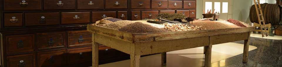 strega azienda